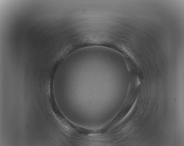 X0000072540685200607211516