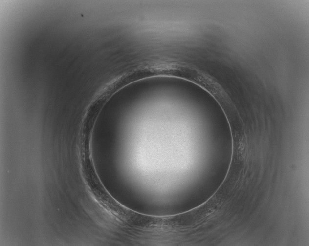 X0000072540732200607211515