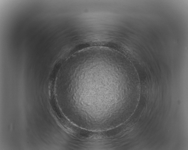 X0000072540742200607211515