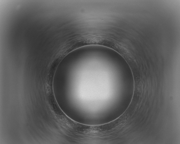 X0000072540743200607211515