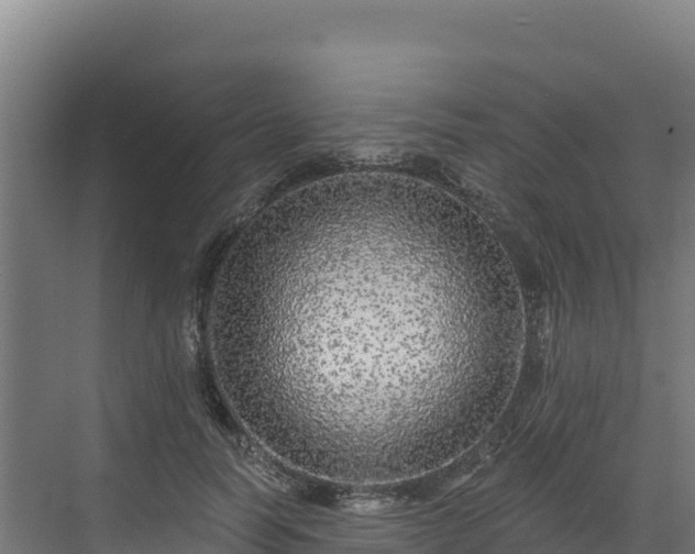 X0000072540746200607211515
