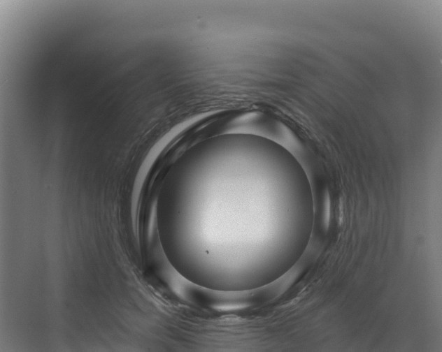 X0000072540750200607211515