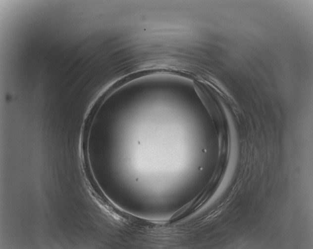 X0000072540788200607211514