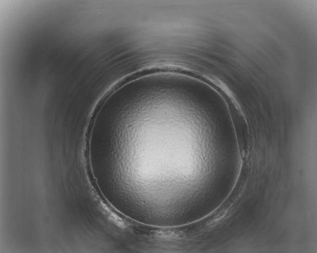 X0000072540799200607211514