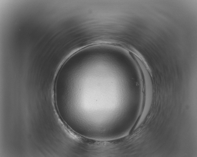 X0000072540811200607211514