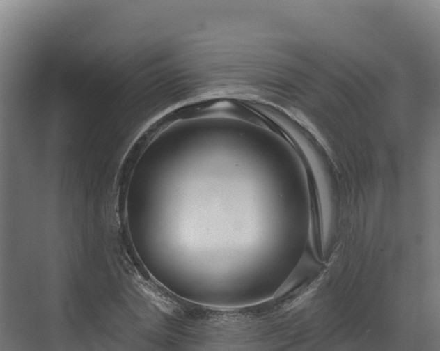 X0000072540830200607211513