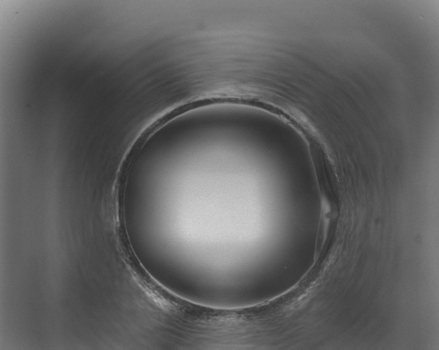 X0000072540838200607211513