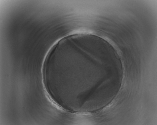 X0000072540864200607211513