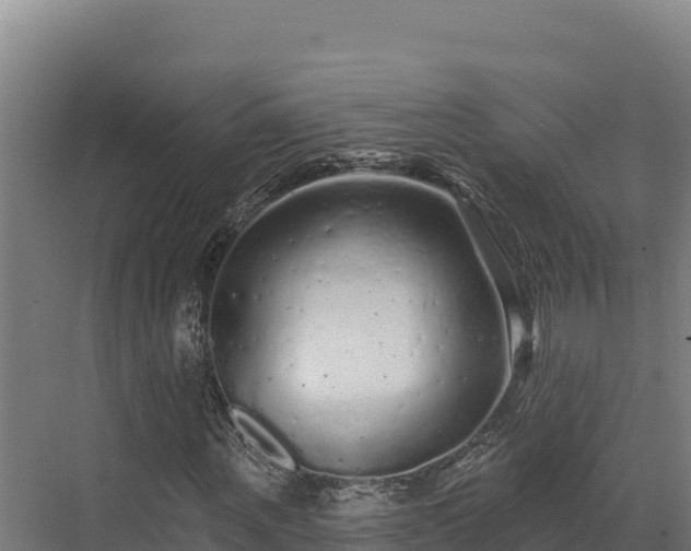 X0000072540867200607211513