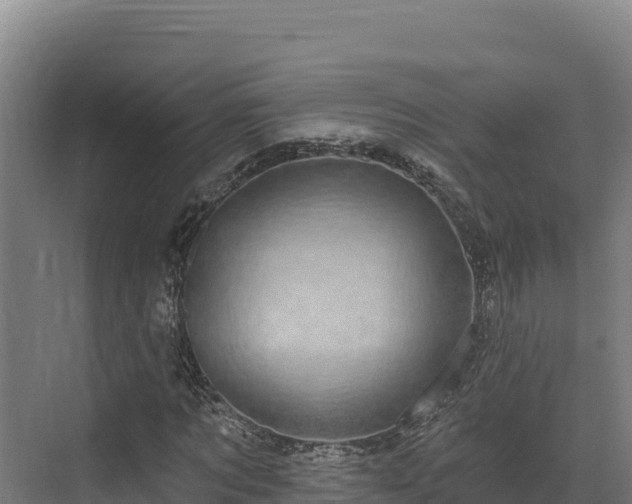 X0000072540869200607211513