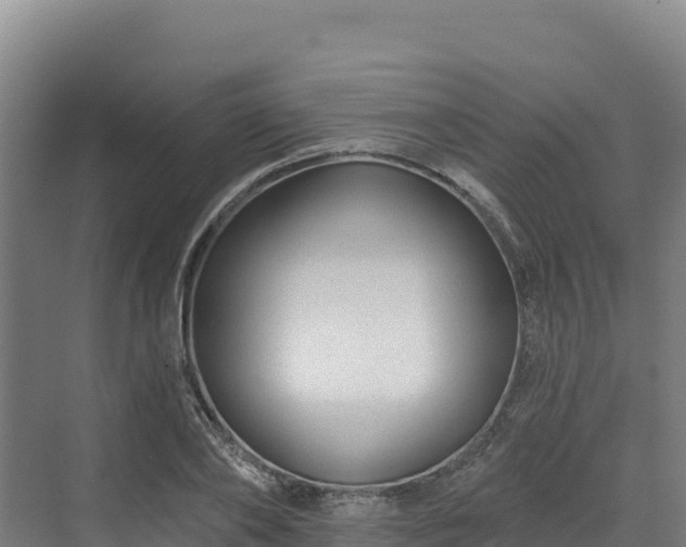 X0000072540886200607211512