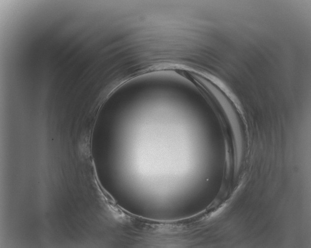 X0000072540905200607211512