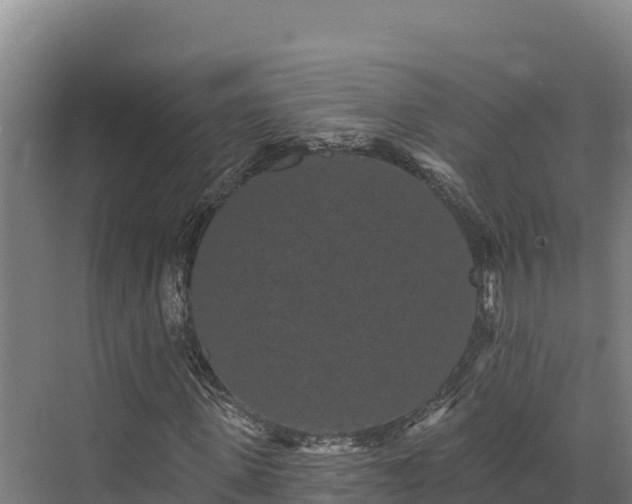 X0000072540915200607211511