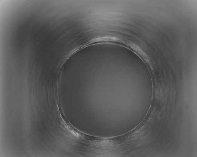 X0000072540945200607211512