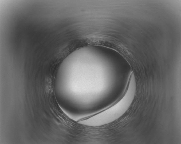 X0000072540964200607211511