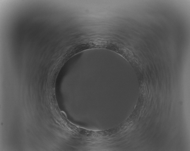 X0000072541009200607211509