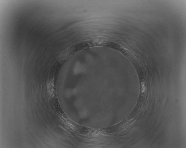 X0000072541011200607211509