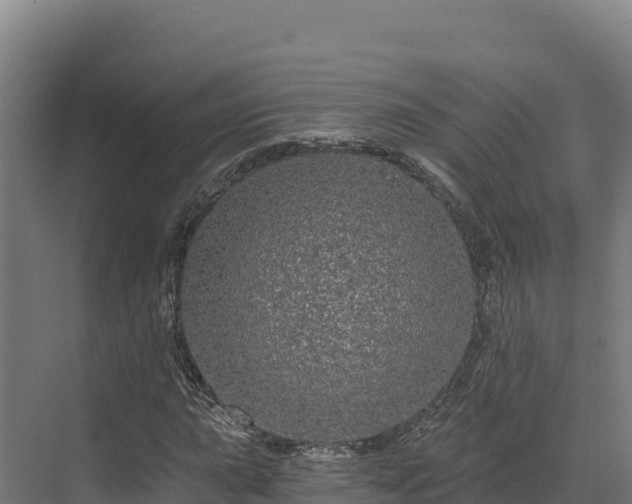 X0000072541015200607211510