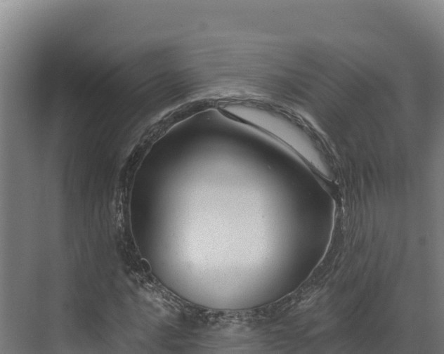 X0000072541016200607211510