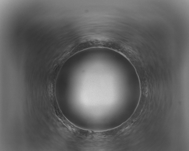 X0000072541061200607211509