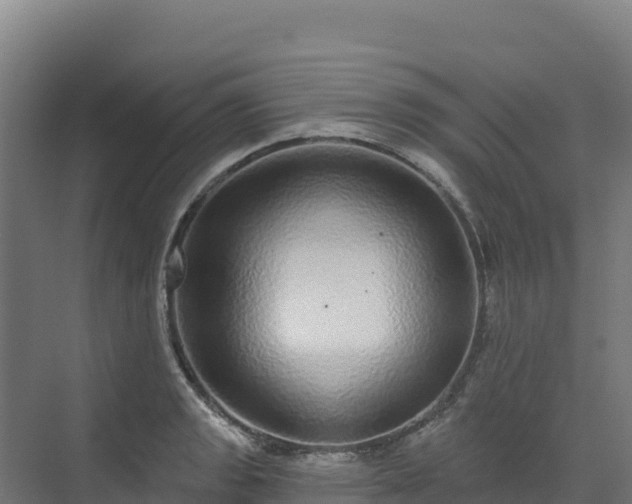 X0000072541133200607211508