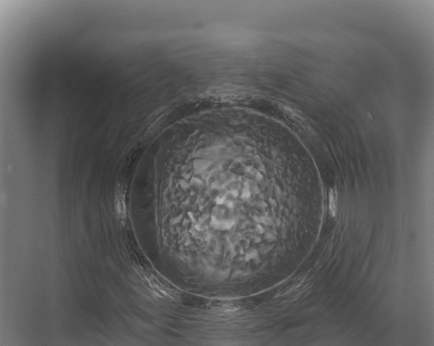 X0000072541155200607211508