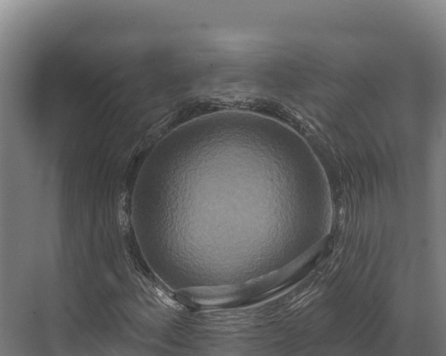 X0000072541156200607211508