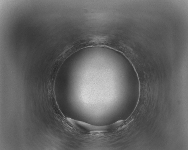 X0000072541158200607211508