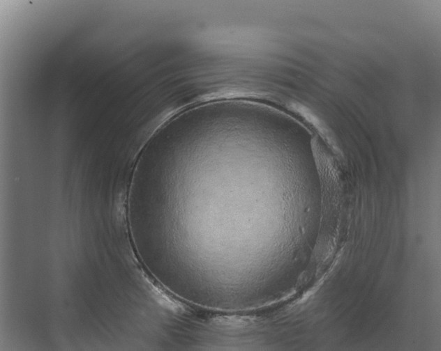 X0000072541185200607211507