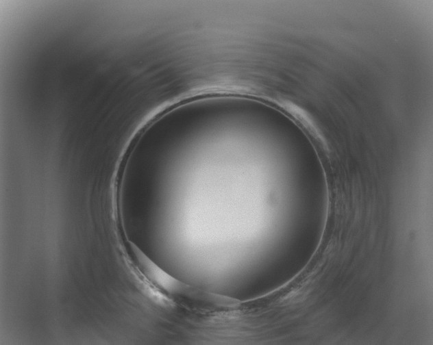 X0000072541238200607211507