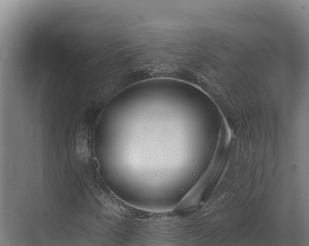 X0000072541250200607211506