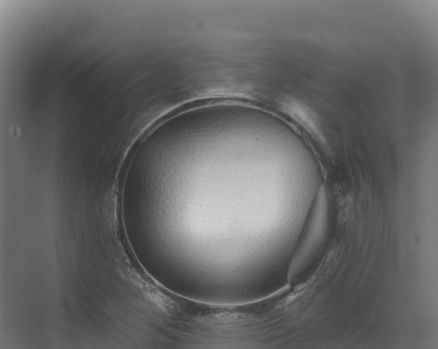 X0000072541268200607211506