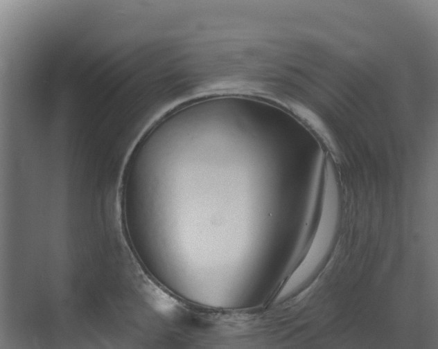 X0000072541288200607211506