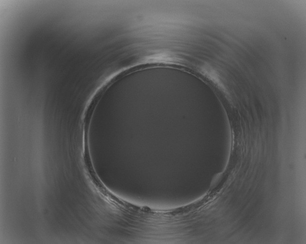 X0000072541323200607211505