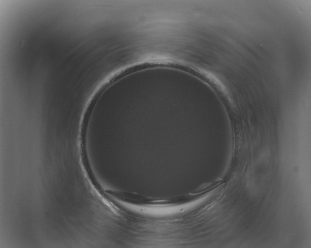 X0000072541327200607211505