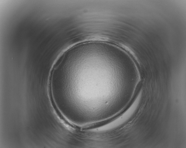 X0000072541379200607211504
