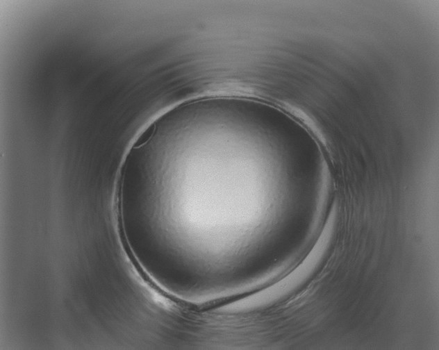 X0000072541387200607211504