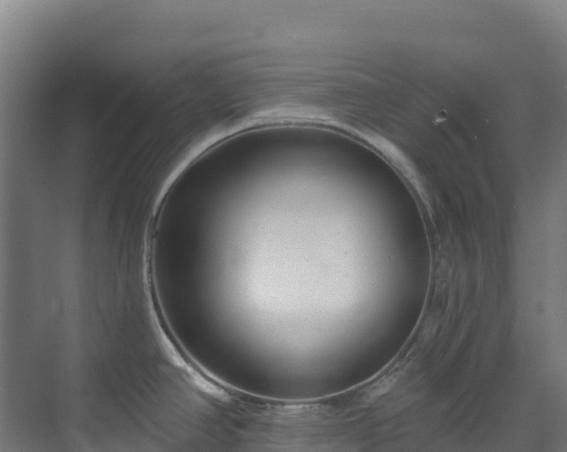 X0000072541390200607211504