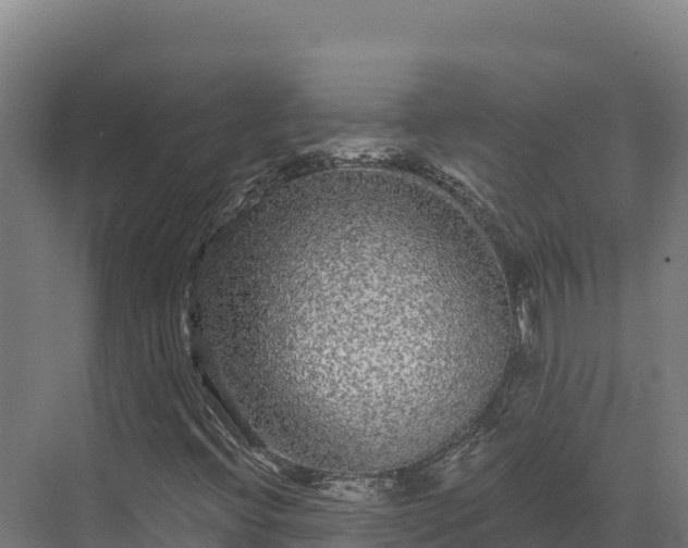X0000072541396200607211503