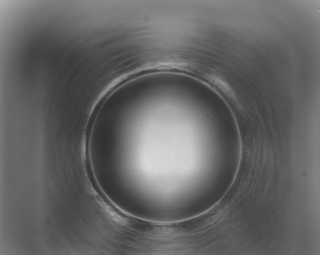 X0000072541420200607211503