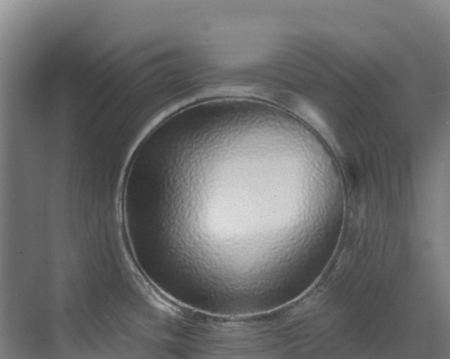 X0000072541436200607211504