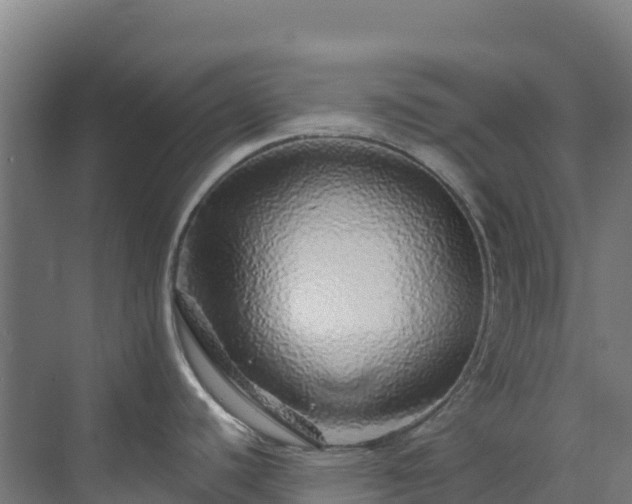 X0000072541440200607211504