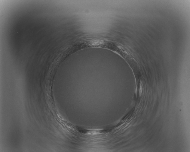 X0000072541441200607211503