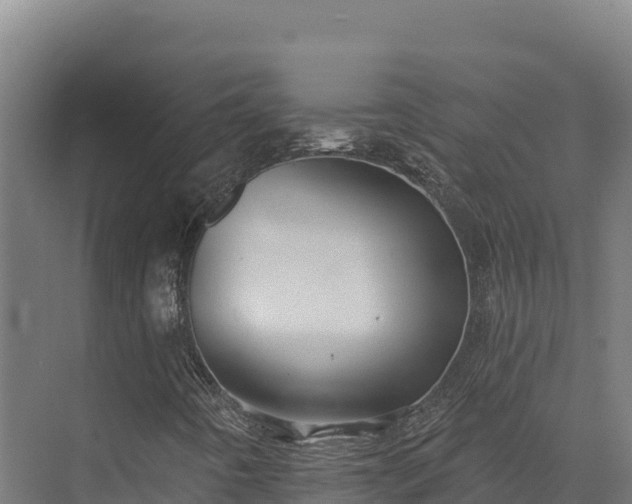 X0000072541442200607211503
