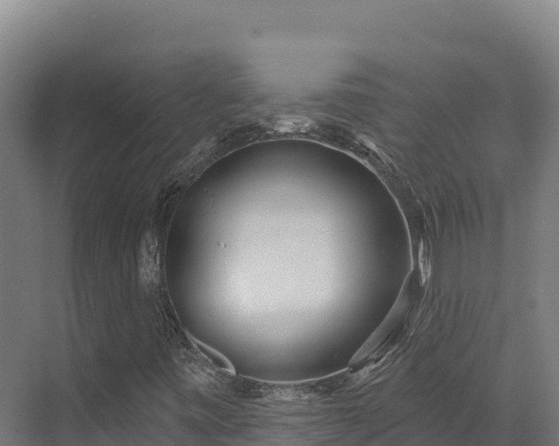 X0000072541443200607211503