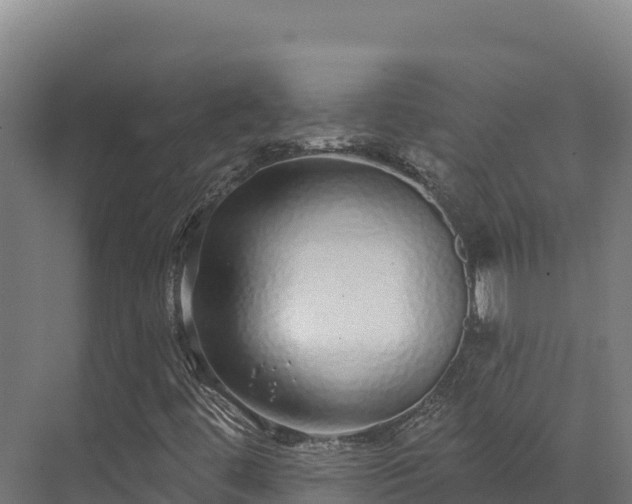 X0000072541444200607211503