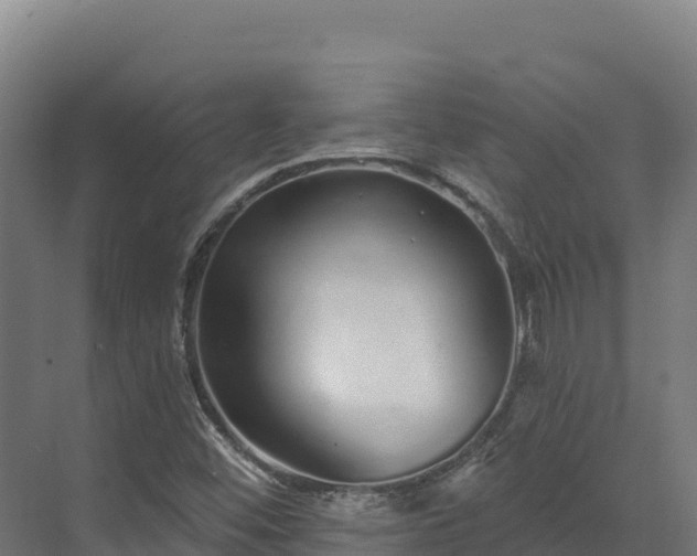 X0000072541452200607211503