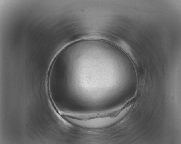 X0000072541484200607211502