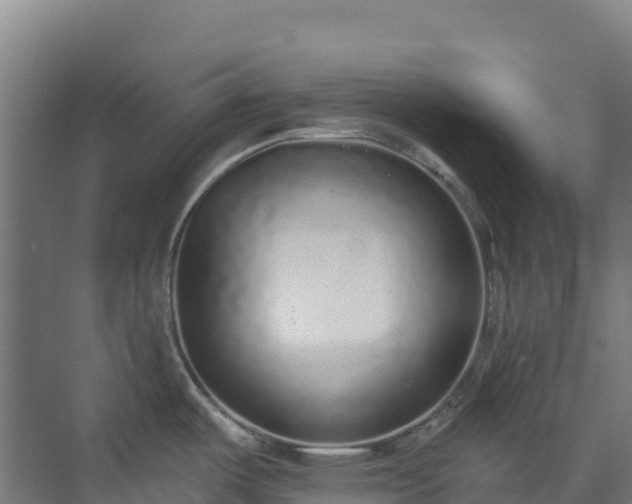 X0000072541487200607211502