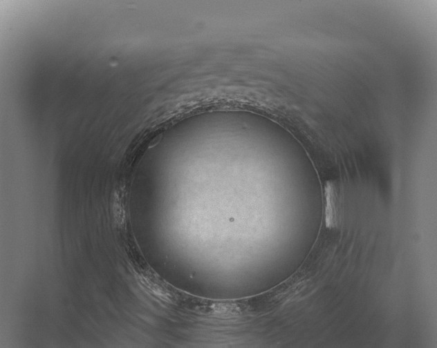 X0000072541491200607211501